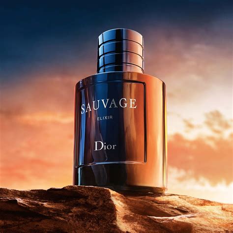 dior suvage notes